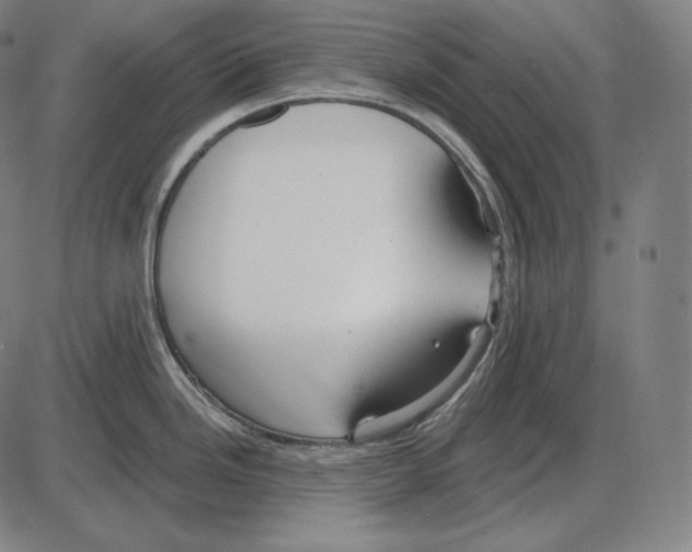 X0000084011246200703161706