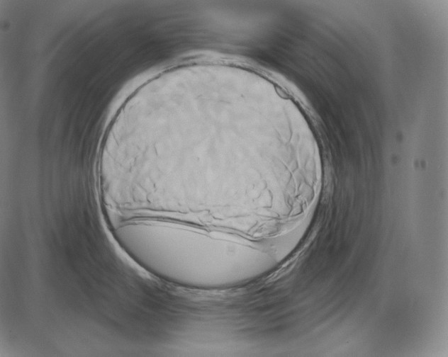 X0000084011247200703161706