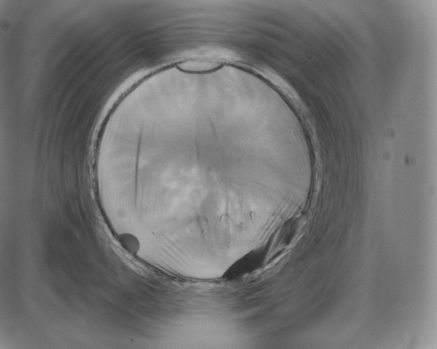 X0000084011248200703161706