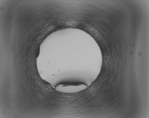 X0000084011249200703161705