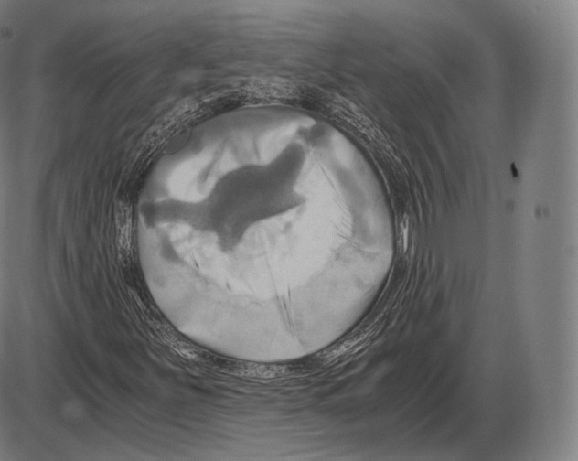 X0000084011251200703161705