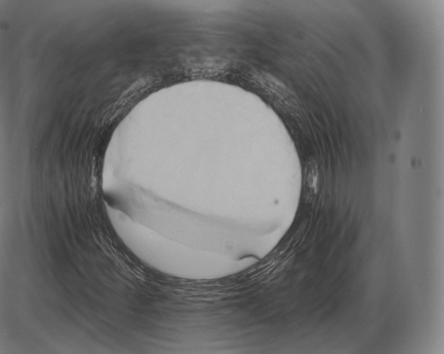 X0000084011252200703161705