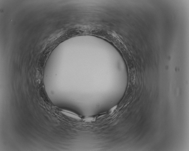 X0000084011253200703161705