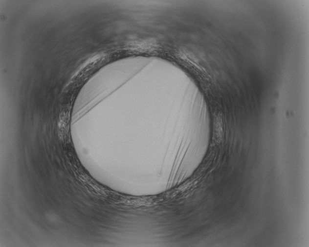 X0000084011254200703161705