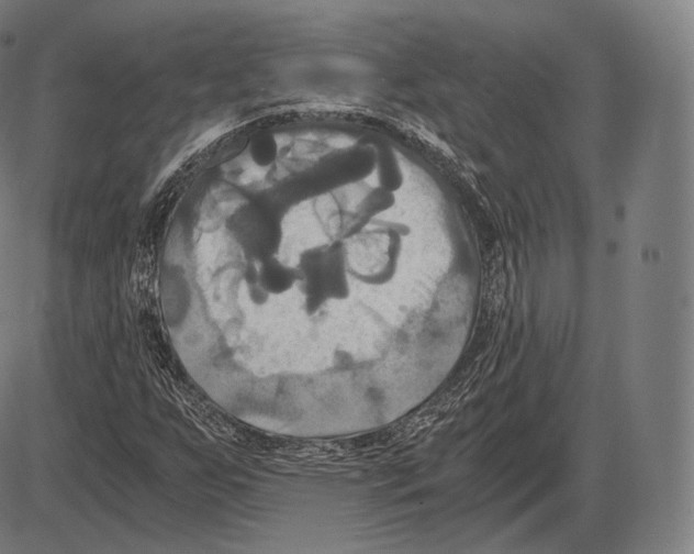 X0000084011255200703161705