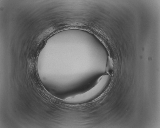 X0000084011257200703161705