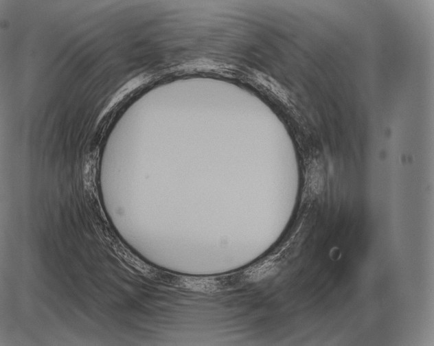 X0000084011258200703161705