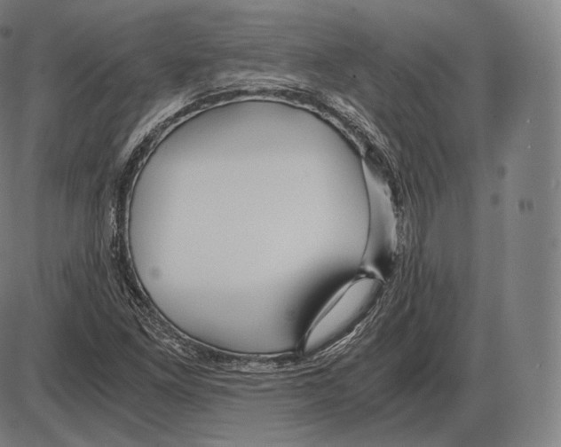 X0000084011261200703161705