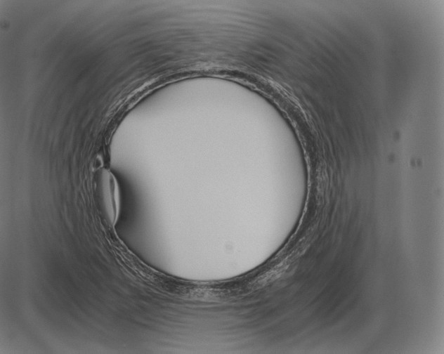 X0000084011265200703161705