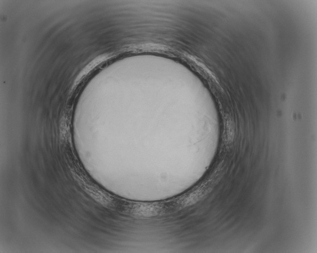 X0000084011266200703161705