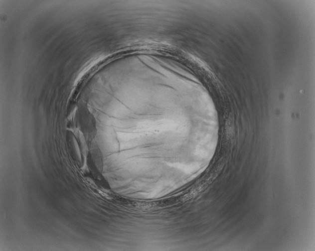 X0000084011267200703161705