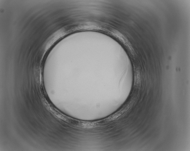 X0000084011274200703161704