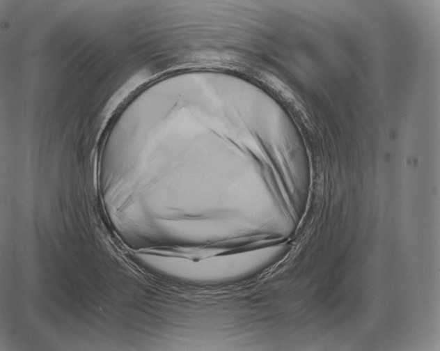 X0000084011275200703161704