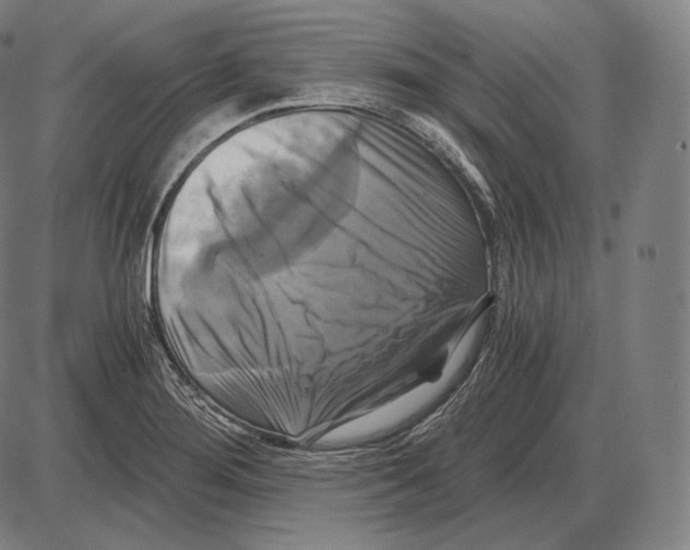 X0000084011276200703161704