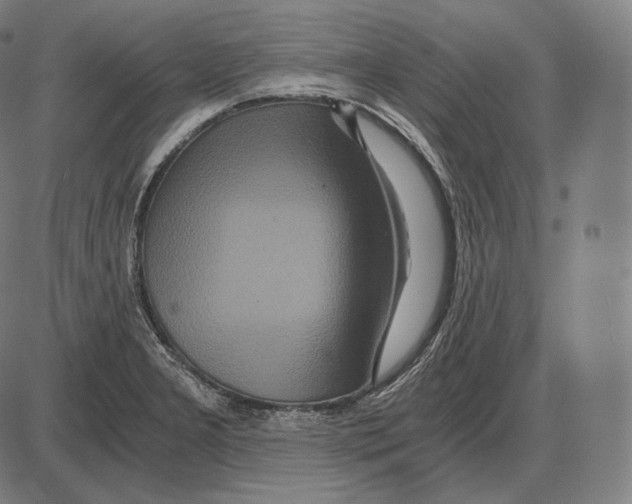 X0000084011277200703161704