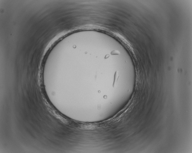 X0000084011278200703161704