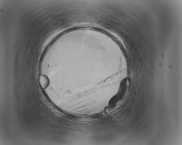 X0000084011279200703161704