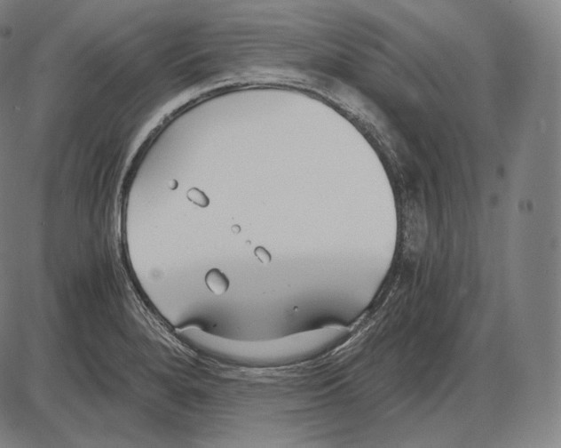 X0000084011280200703161704