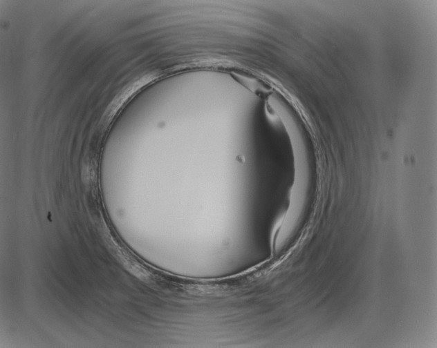 X0000084011281200703161704