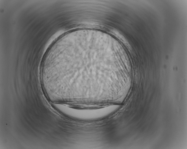 X0000084011283200703161704