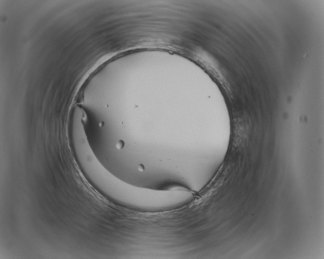 X0000084011284200703161704