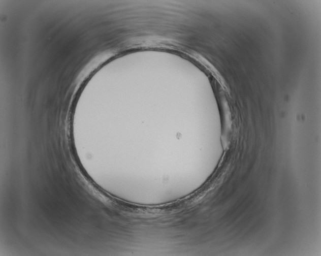 X0000084011285200703161704