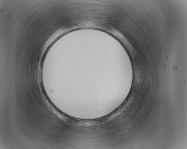 X0000084011286200703161704