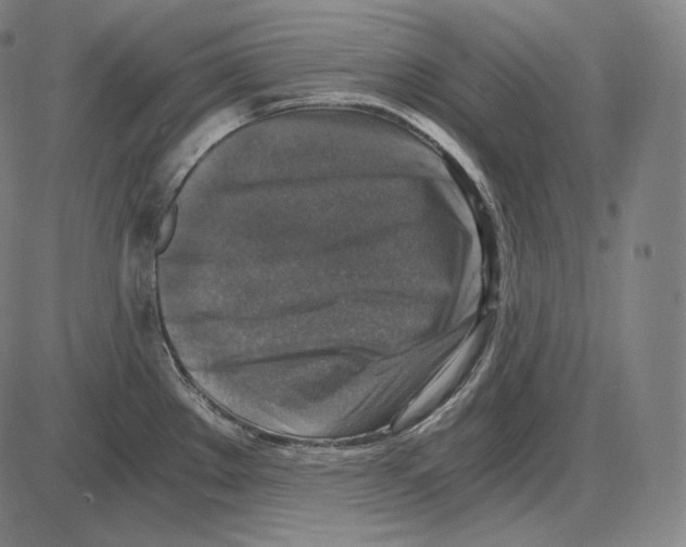 X0000084011289200703161704