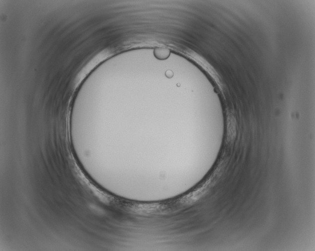 X0000084011290200703161704