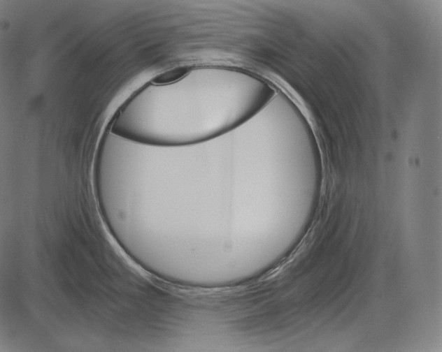 X0000084011293200703161704