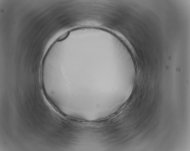 X0000084011295200703161704