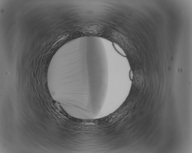 X0000084011297200703161703