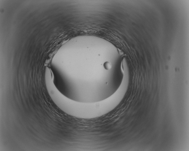 X0000084011298200703161703