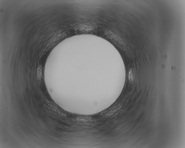 X0000084011299200703161703