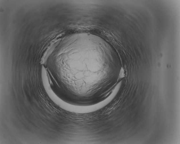 X0000084011300200703161703