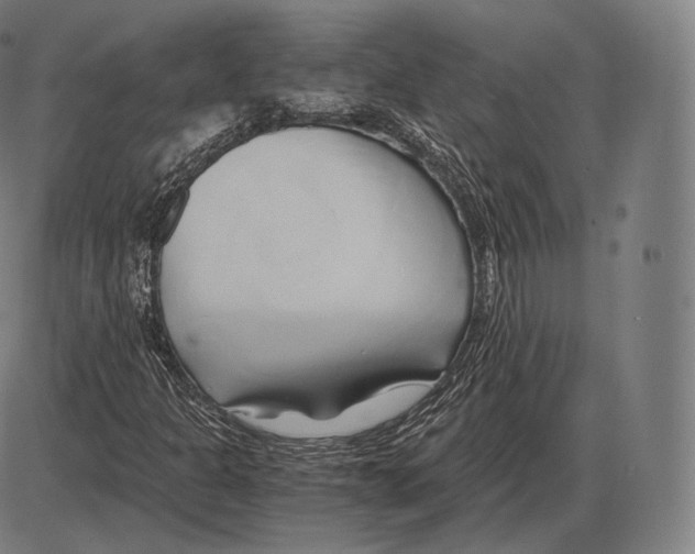 X0000084011301200703161703