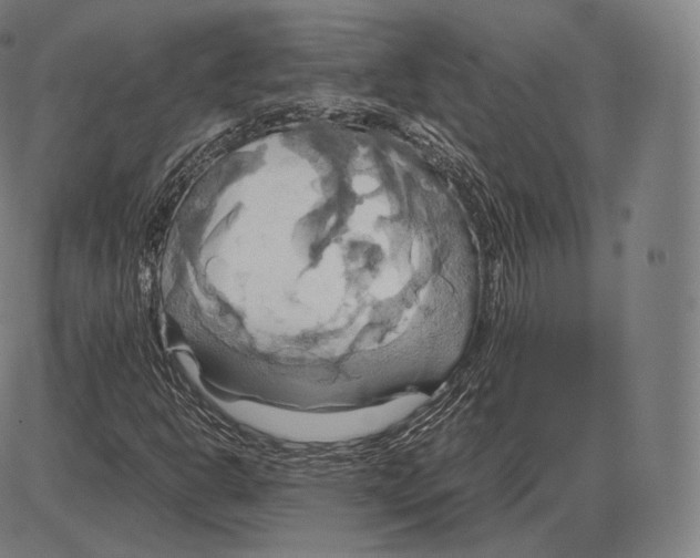 X0000084011302200703161703