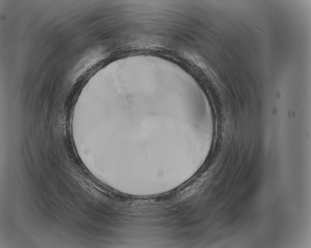 X0000084011306200703161703