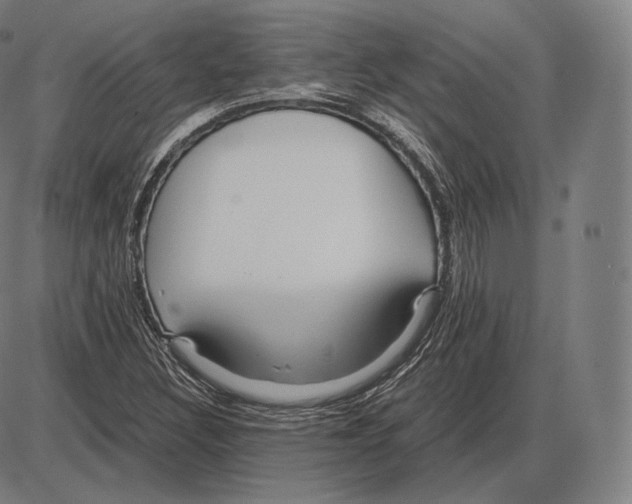 X0000084011308200703161703