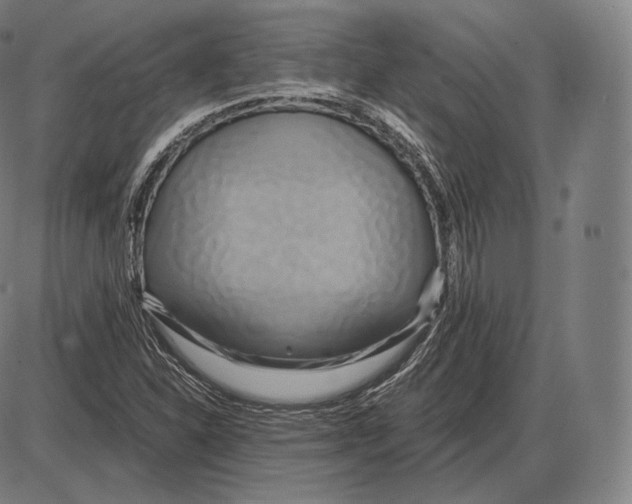 X0000084011310200703161703