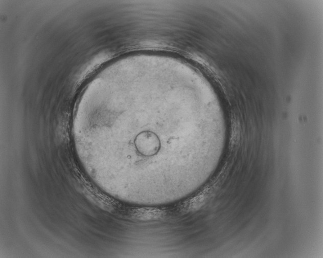 X0000084011314200703161704