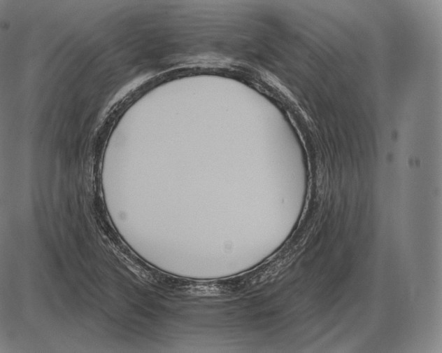 X0000084011315200703161704