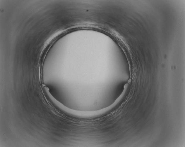 X0000084011320200703161704