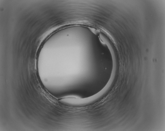 X0000084011324200703161704