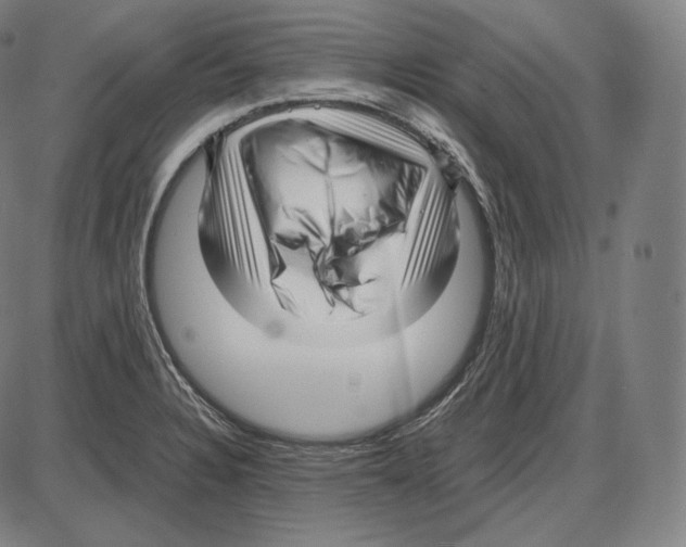 X0000084011328200703161704