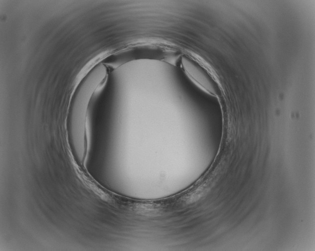 X0000084011330200703161704