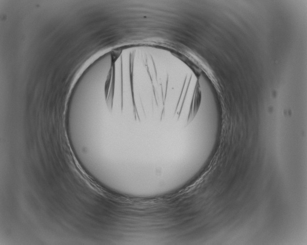 X0000084011332200703161704