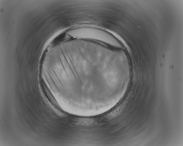 X0000084011333200703161704