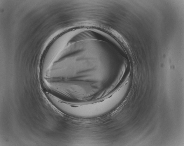 X0000084011334200703161704