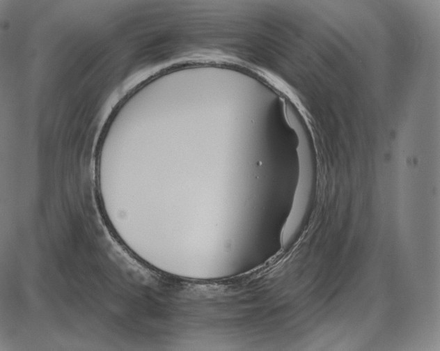 X0000084011335200703161704